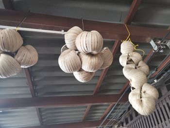 Low angle view of mushrooms hanging on ceiling