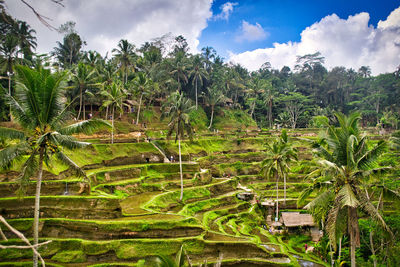 Scenic view of farm against sky