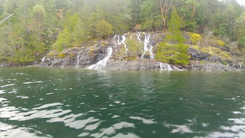 Scenic view of waterfall in forest