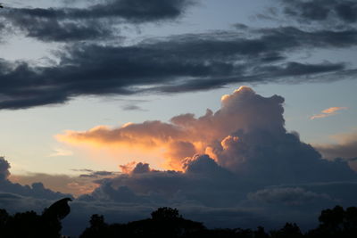 Low angle view of silhouette trees against dramatic sky