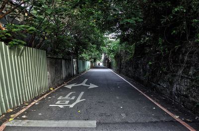 Road amidst trees