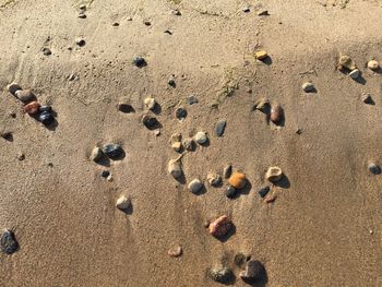 Footprints on sand