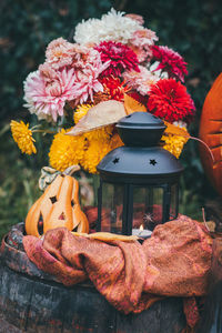 Close-up of autumn flowers and lantern