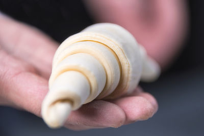 Close-up of human hand holding shell