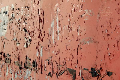 Full frame shot of wall