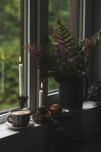 Potted plant on table