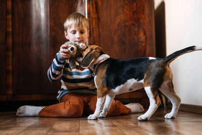 Portrait of cute dog on floor at home