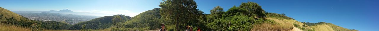 Panoramic view of trees on landscape against sky