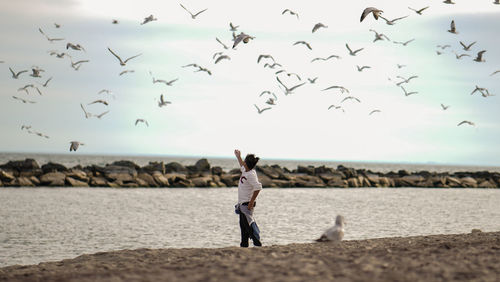 Seagulls flying over boy gesturing at beach