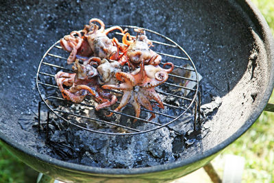 High angle view of octopus on grill