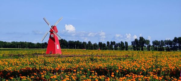 Scenic view of field against clear sky