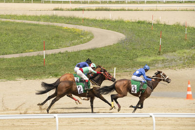 Men riding horse