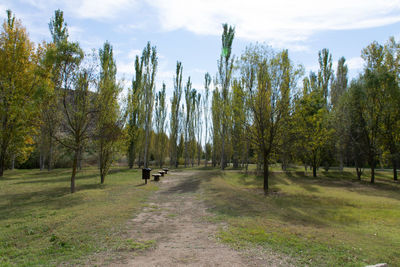 Trees on field against sky