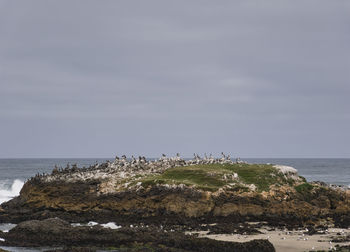 Rocks on beach against sky