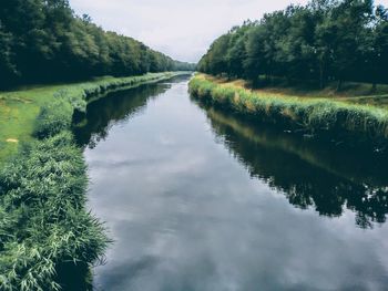 Scenic view of lake by trees against sky