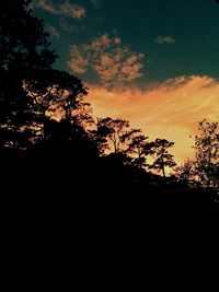 Low angle view of silhouette trees against sky at sunset