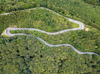 High angle view of agricultural field