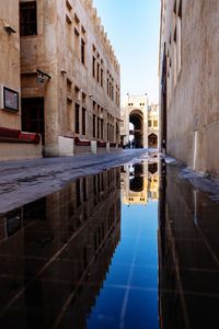 Falcon souq, souq waqif qatar