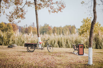 Bicycle parked on field against trees next to bench