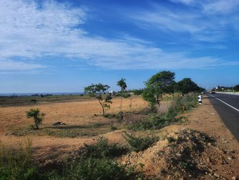 Scenic view of field against sky