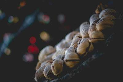 Close-up of pine cone