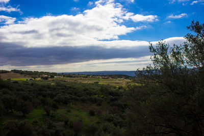 Scenic view of landscape against sky