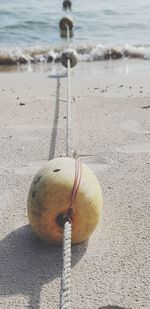 High angle view of buoy at shore of beach