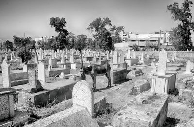 Panoramic view of cemetery against sky