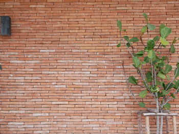 Full frame shot of brick wall