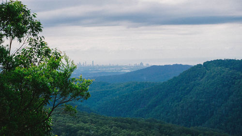 Scenic view of tree mountains against sky