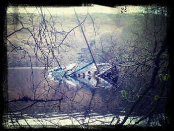 Bare trees in water