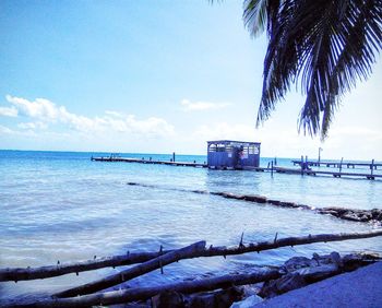 Scenic view of calm sea