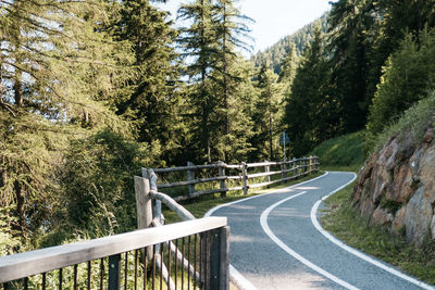 Road by trees in forest against sky