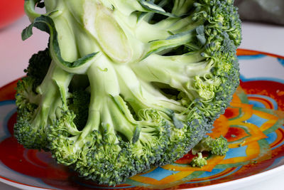 Close-up of chopped vegetables in plate on table