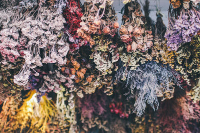 High angle view of dry colorful flowers