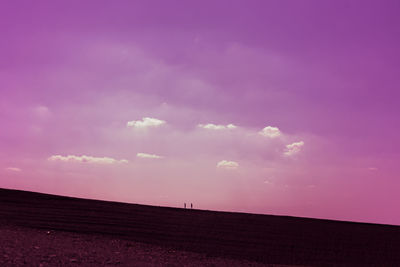 Scenic view of pink field against sky