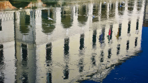 High angle view of birds on lake