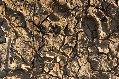 Full frame shot of rocks