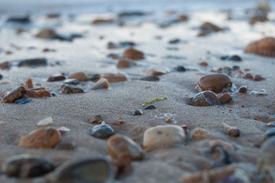 Surface level of stones on beach