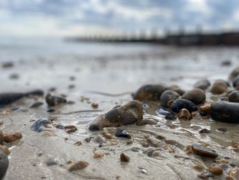 Close-up of pebbles on beach