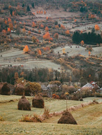 Scenic view of field against mountain