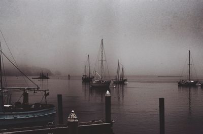 Boats moored at harbor