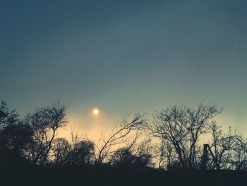 Low angle view of bare trees against sky