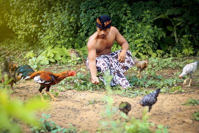 Shirtless man feeding rooster on land