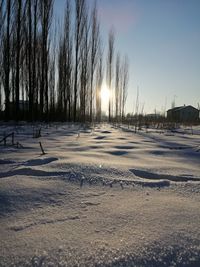 Trees on snow covered field against sky