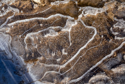 Full frame shot of rocks in water