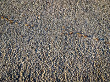 Full frame shot of cracked road