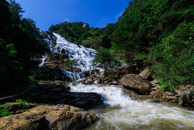 Scenic view of waterfall in forest