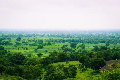 Scenic view of landscape against clear sky
