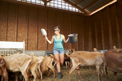 Female farmer walking amidst goats at farm